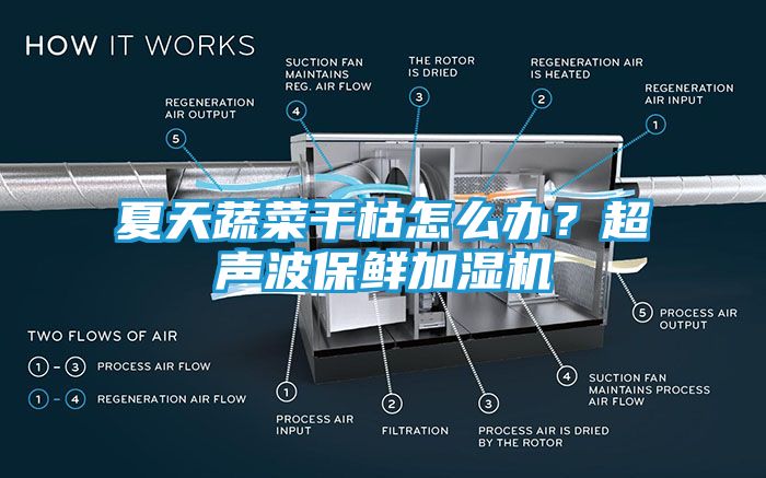 夏天蔬菜干枯怎么办？超声波保鲜加湿机