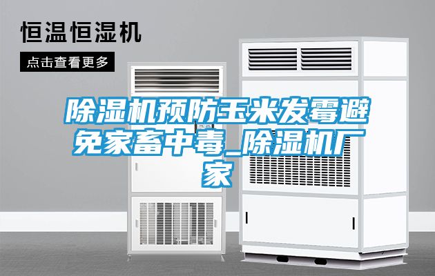 除湿机预防玉米发霉避免家畜中毒_除湿机厂家