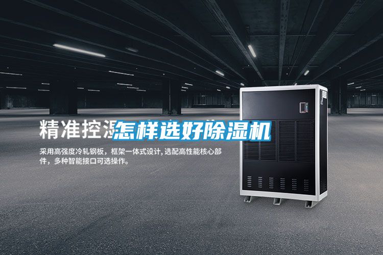 怎样选好除湿机