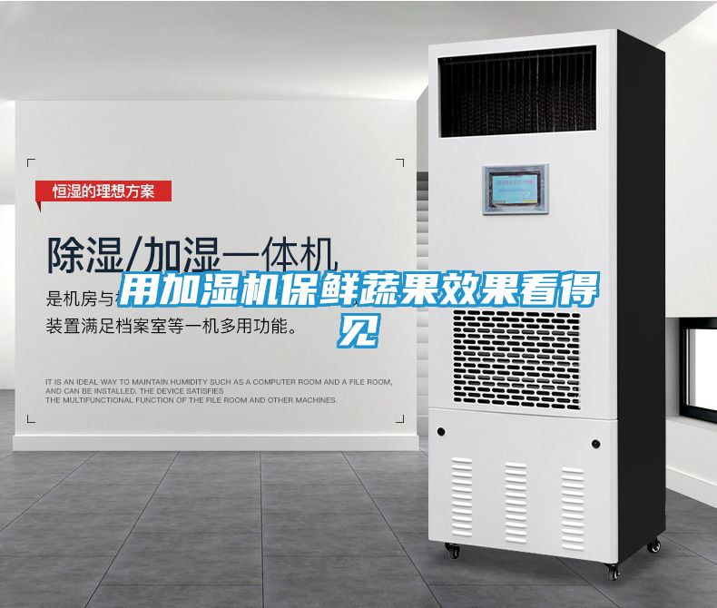 用加湿机保鲜蔬果效果看得见