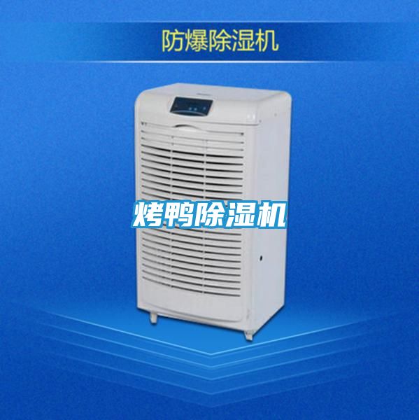 烤鸭除湿机