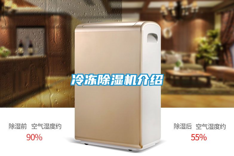 冷冻除湿机介绍