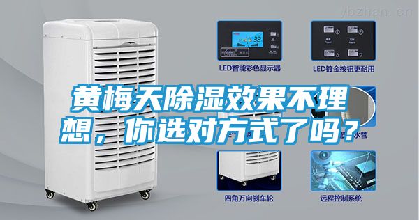 黄梅天除湿效果不理想，你选对方式了吗？