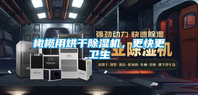 橄榄用烘干除湿机,更快更卫生