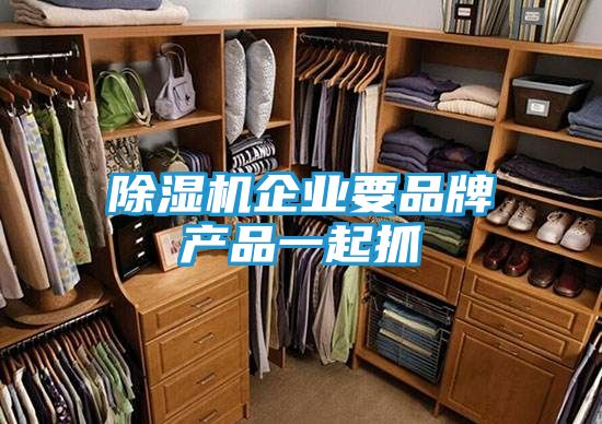 除湿机企业要品牌产品一起抓