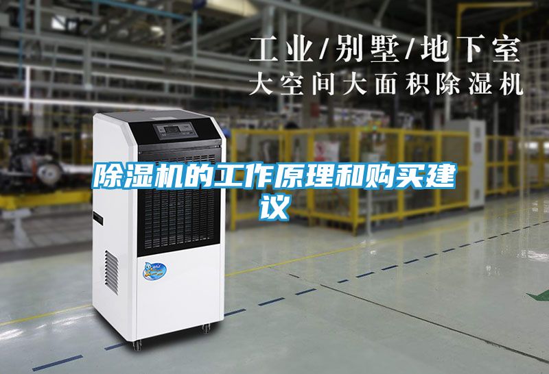 除湿机的工作原理和购买建议