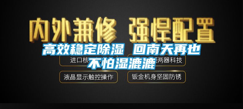 高效稳定除湿 回南天再也不怕湿漉漉