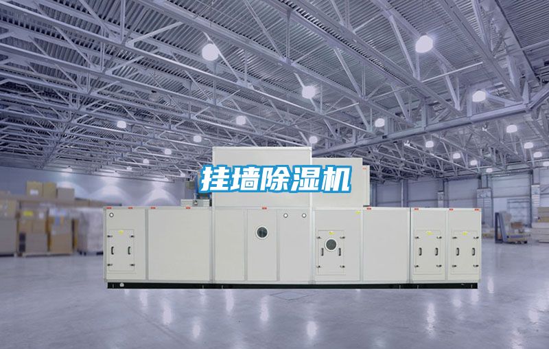 挂墙除湿机