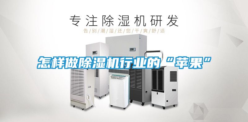怎样做除湿机行业的“苹果”