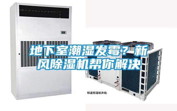 地下室潮湿发霉？新风除湿机帮你解决