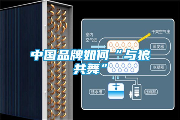 中国品牌如何“与狼共舞”