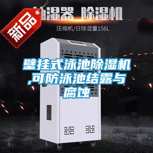 壁挂式泳池除湿机,可防泳池结露与腐蚀