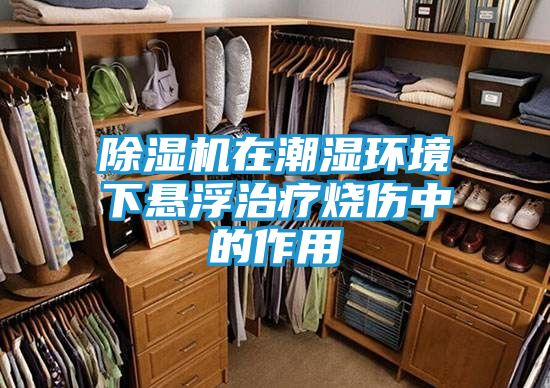除湿机在潮湿环境下悬浮治疗烧伤中的作用
