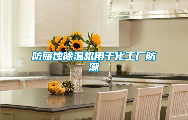 防腐蚀除湿机用于化工厂防潮