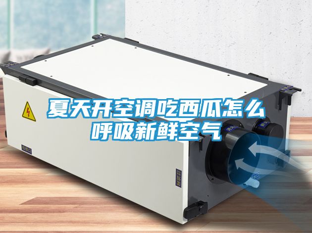 夏天开空调吃西瓜怎么呼吸新鲜空气