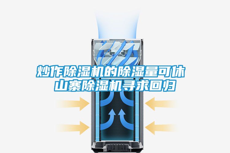 炒作除湿机的除湿量可休 山寨除湿机寻求回归