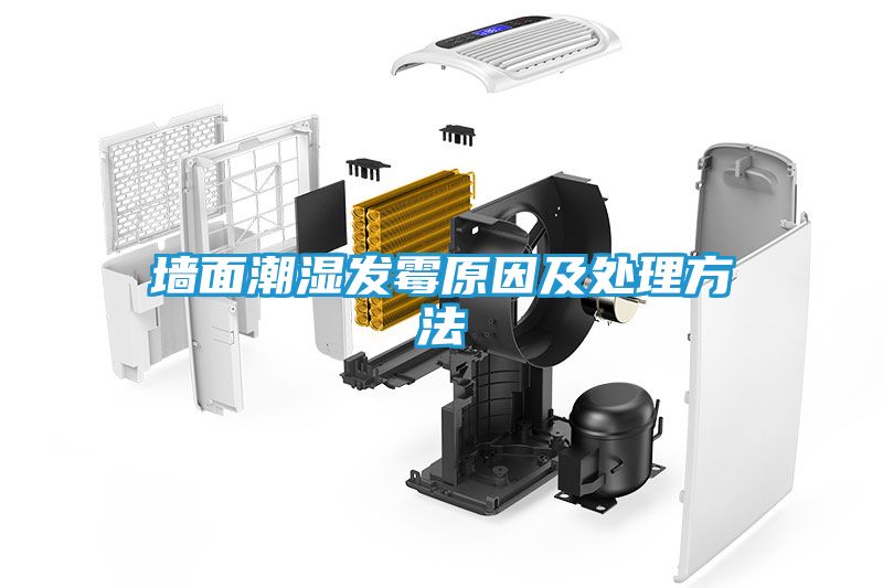 墙面潮湿发霉原因及处理方法