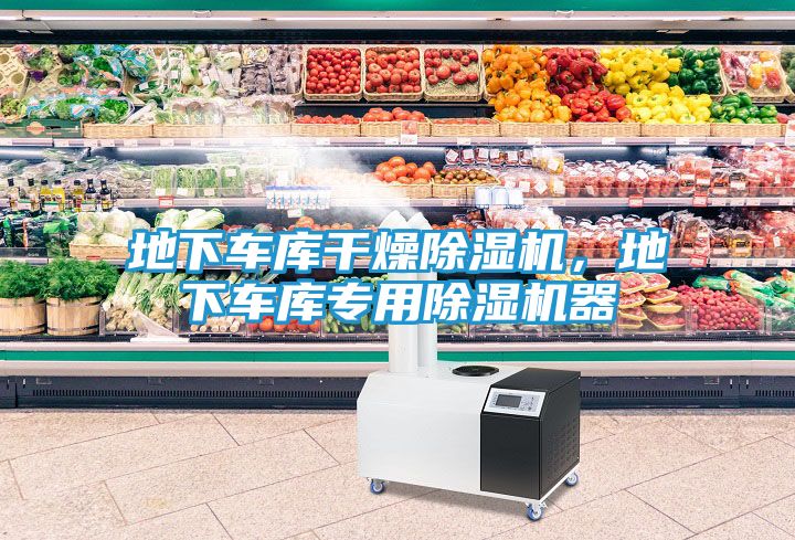地下车库干燥除湿机，地下车库专用除湿机器