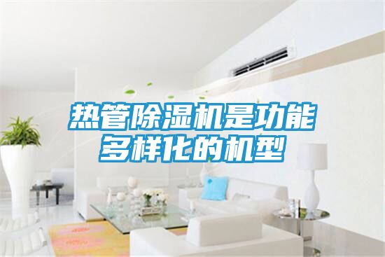 热管除湿机是功能多样化的机型
