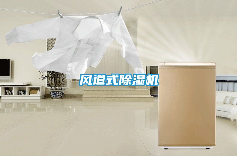 风道式除湿机
