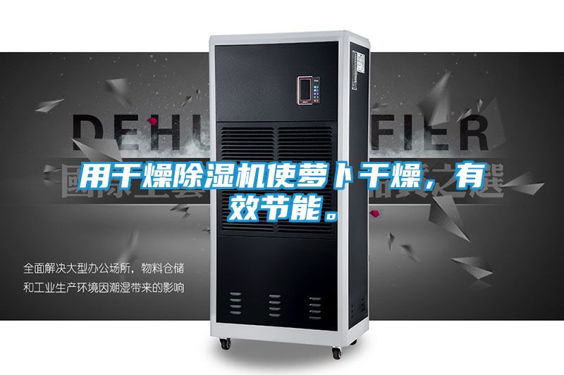 用干燥除湿机使萝卜干燥,有效节能。