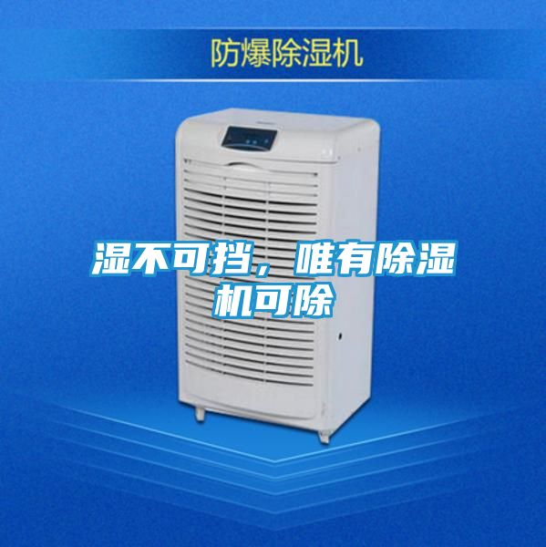 湿不可挡，唯有除湿机可除