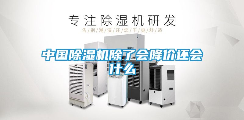 中国除湿机除了会降价还会什么