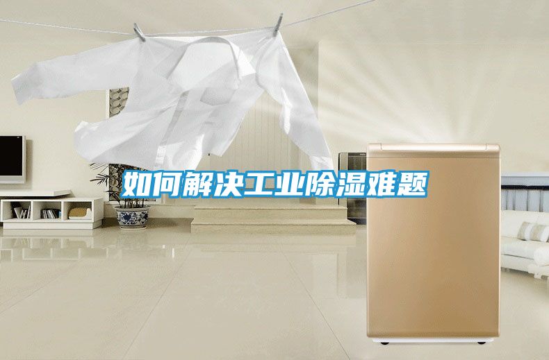 如何解决工业除湿难题