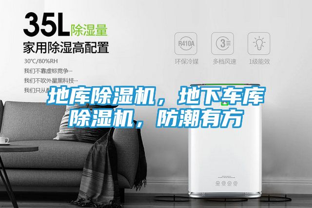 地库除湿机，地下车库除湿机，防潮有方