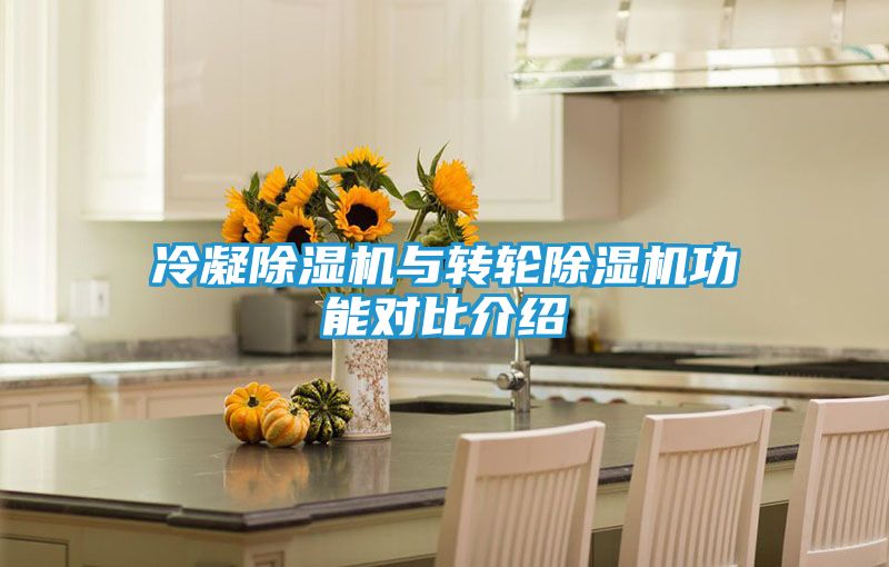 冷凝除湿机与转轮除湿机功能对比介绍
