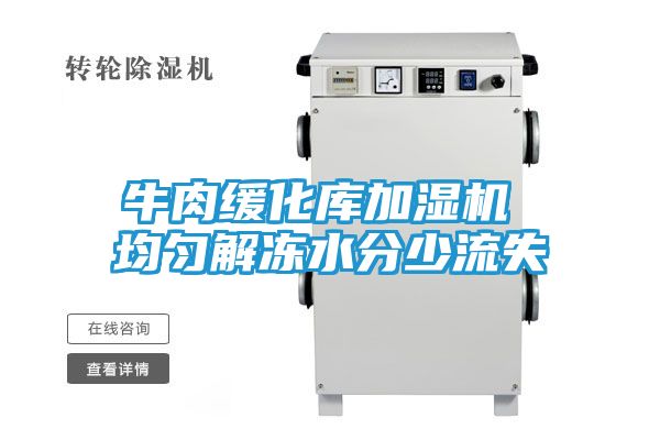 牛肉缓化库加湿机 均匀解冻水分少流失
