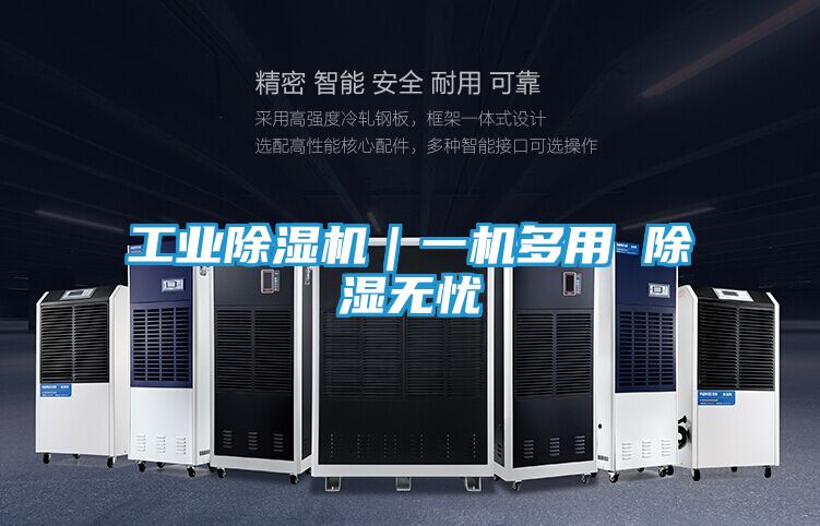 工业除湿机|一机多用 除湿无忧