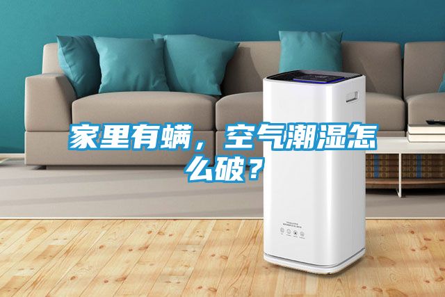 家里有螨,空气潮湿怎么破?