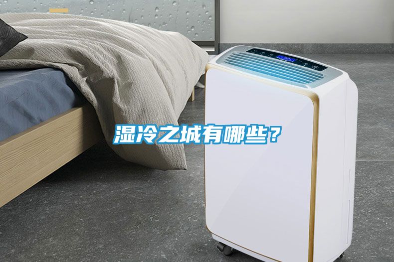 湿冷之城有哪些？