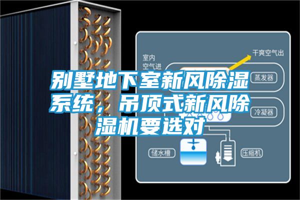 别墅地下室新风除湿系统，吊顶式新风除湿机要选对