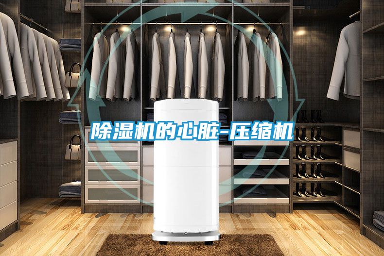 除湿机的心脏-压缩机