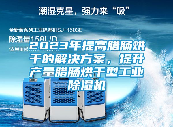 2023年提高腊肠烘干的解决方案，提升产量腊肠烘干型工业除湿机