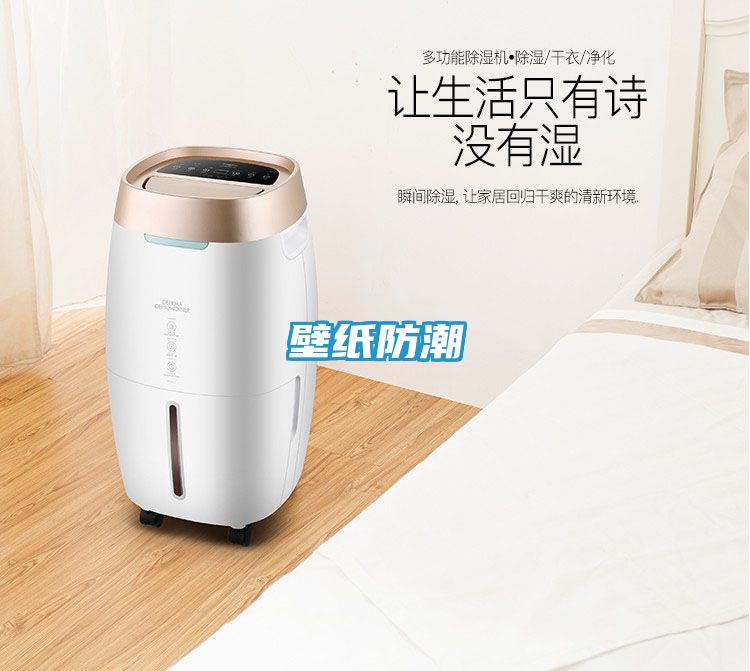 壁纸防潮