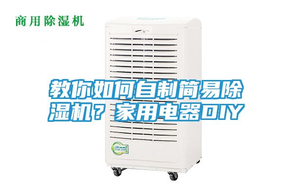 教你如何自制简易除湿机?家用电器DIY