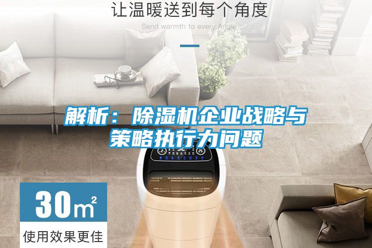 解析：除湿机企业战略与策略执行力问题