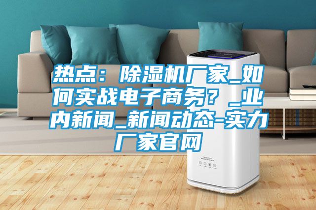 热点:除湿机厂家_如何实战电子商务?_业内新闻_新闻动态-实力厂家官网