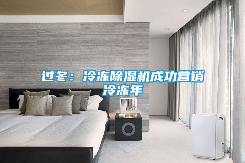 过冬：冷冻除湿机成功营销冷冻年