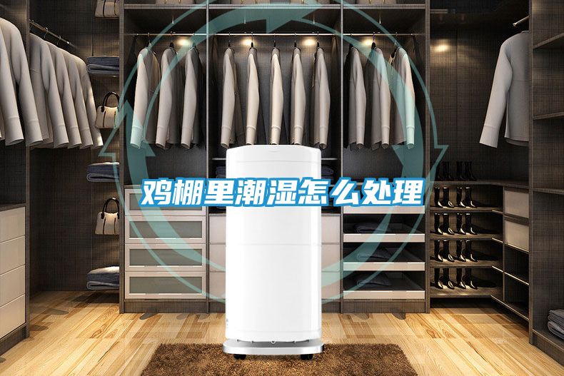 鸡棚里潮湿怎么处理