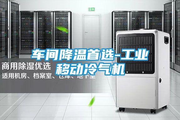 车间降温首选-工业移动冷气机