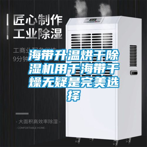 海带升温烘干除湿机用于海带干燥无疑是完美选择
