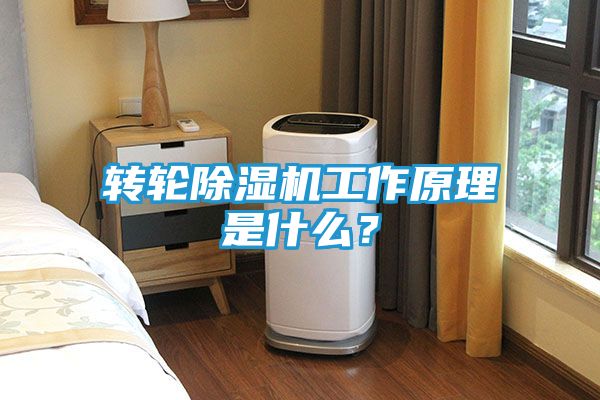 转轮除湿机工作原理是什么?
