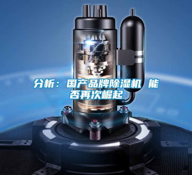 分析：国产品牌除湿机 能否再次崛起