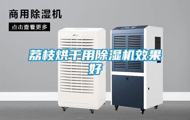 荔枝烘干用除湿机效果好