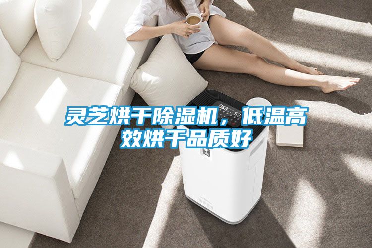 灵芝烘干除湿机，低温高效烘干品质好