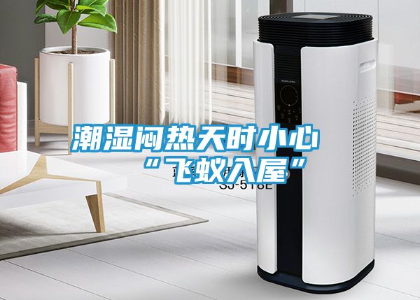 潮湿闷热天时小心“飞蚁入屋”